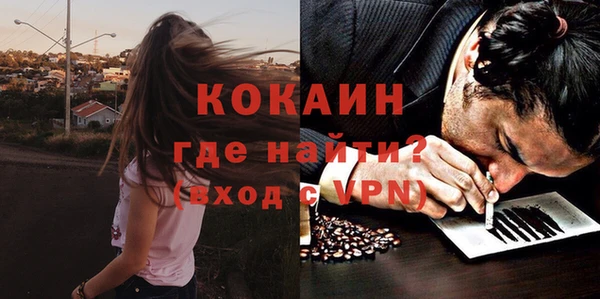 кокс Каменка