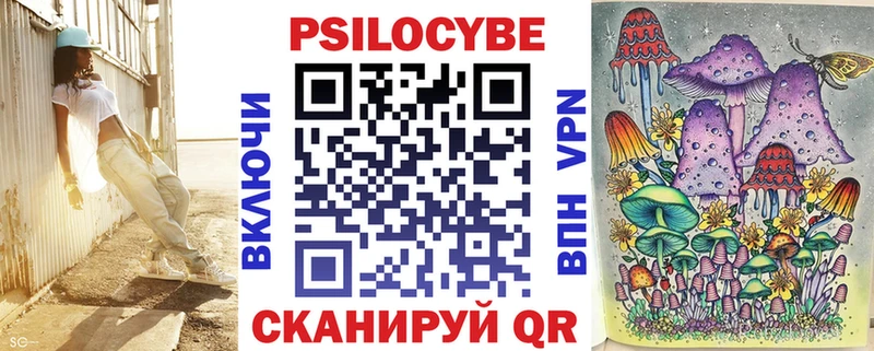 Купить  Судак  Галлюциногенные грибы ЛСД 